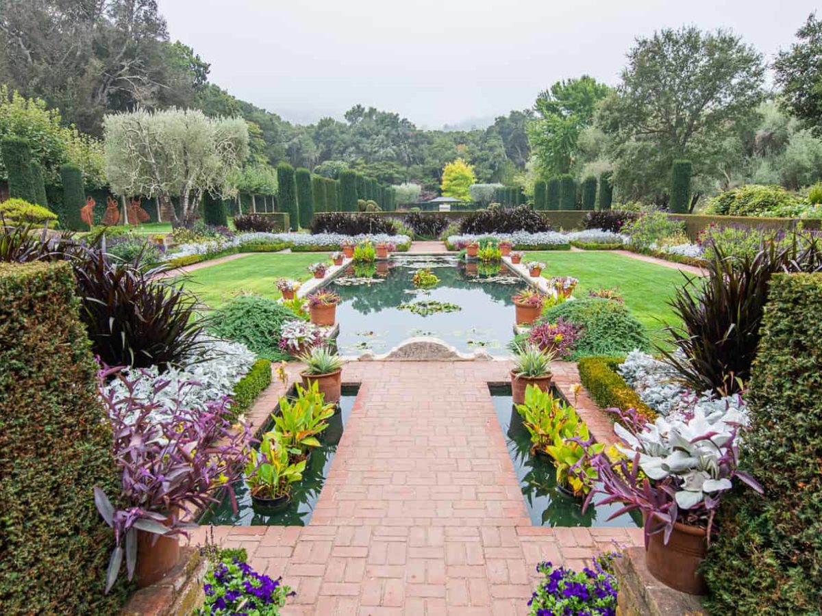 Covid Safe Sf Bay Area Wedding Venues Wedding Photography By Iqphoto