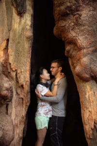 bohemian grove portrait